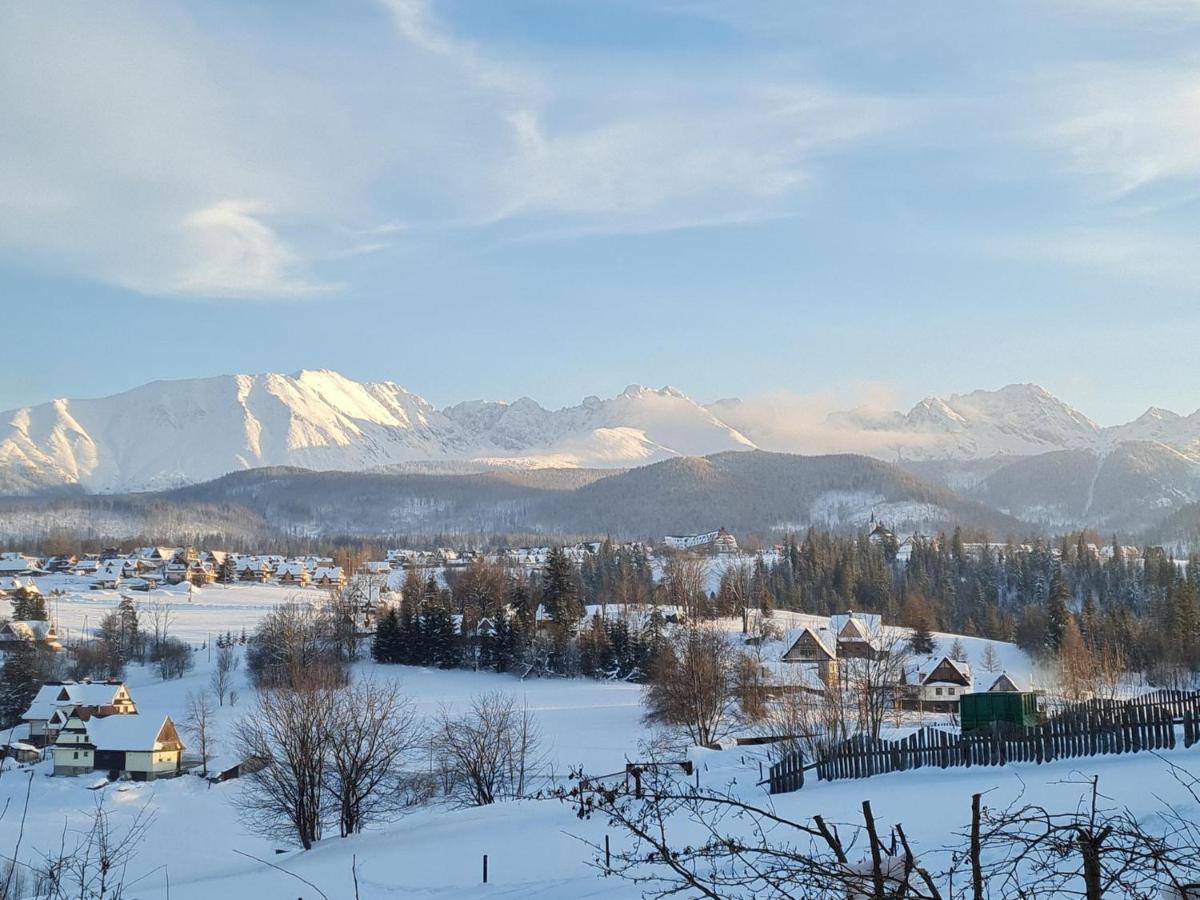 Villa Dorota Закопане Екстериор снимка